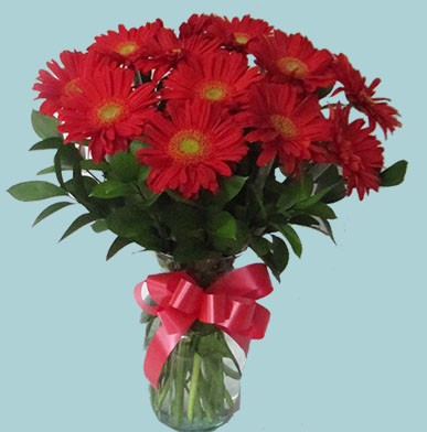 Gerberas rojas - Floristeria Jardin Sayonela