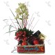 Navidad orquídeas Cymbidium flores y chocolates